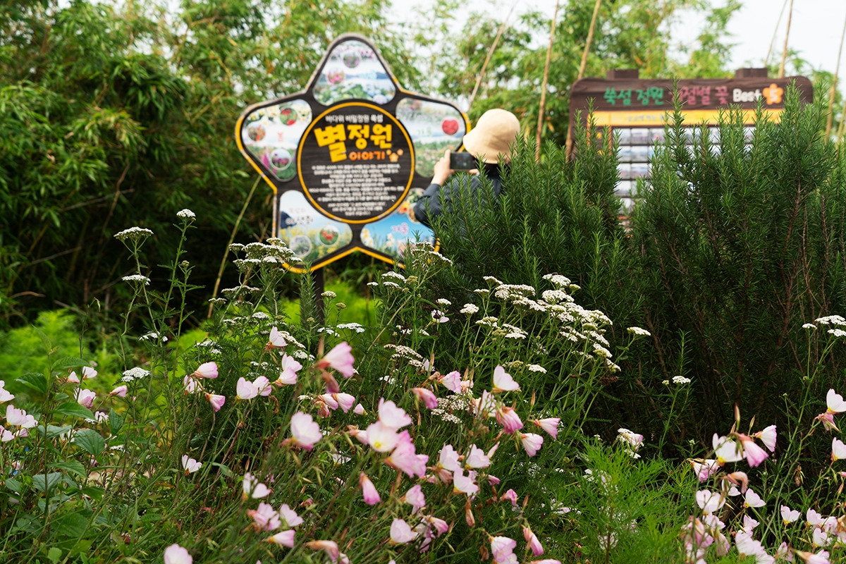 쑥섬 별정원.jpg