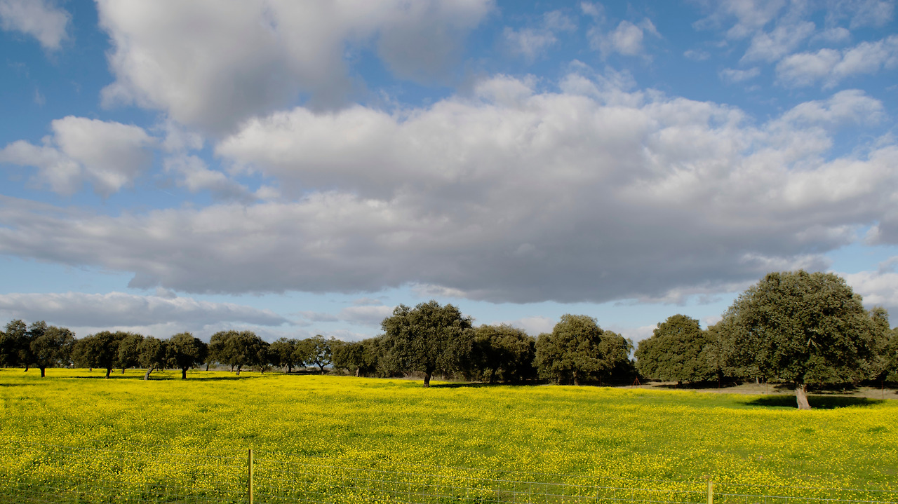 포루투칼 가는 길...1.jpg