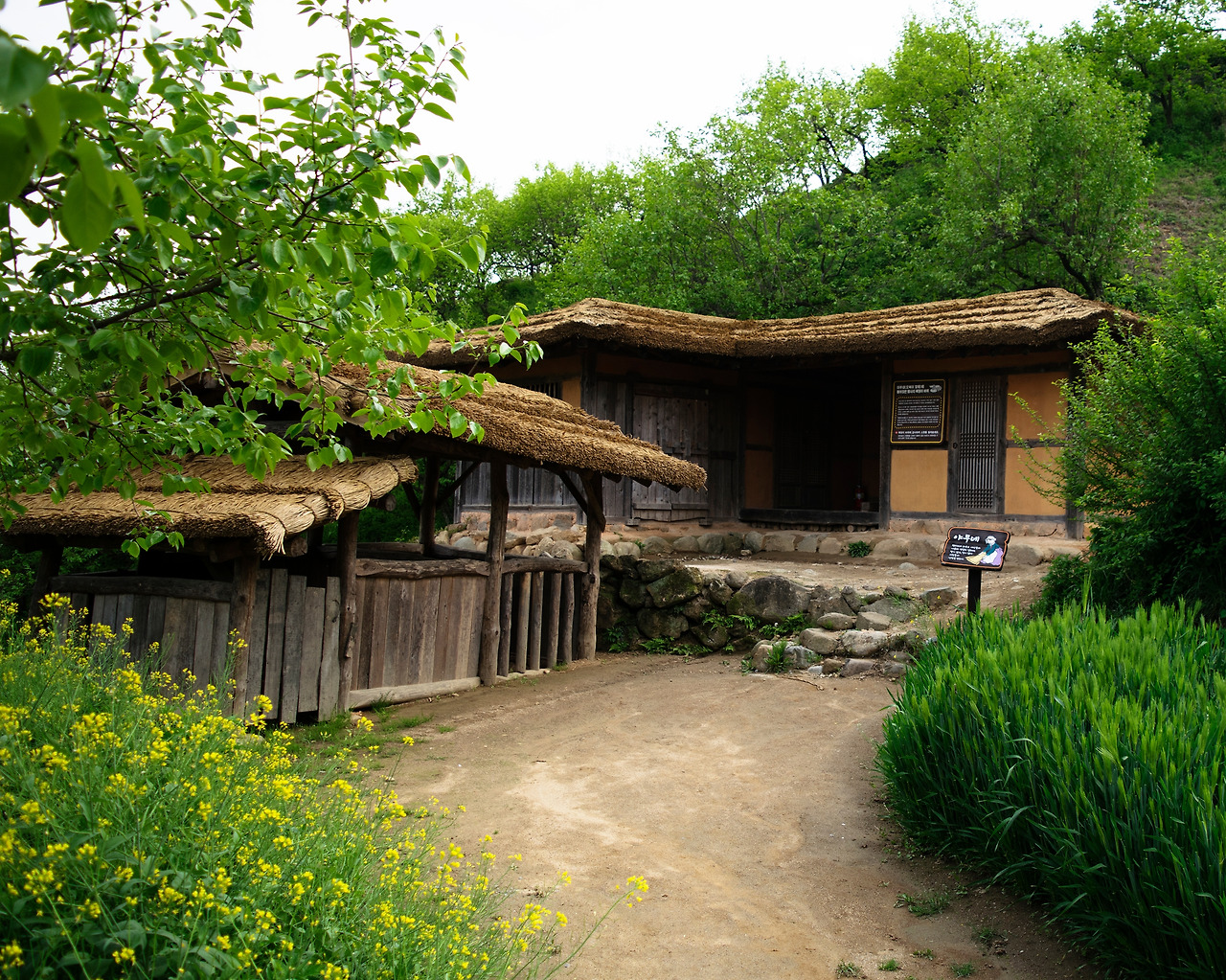 토지 드라마 세트장 '야무네' 초가집.jpg