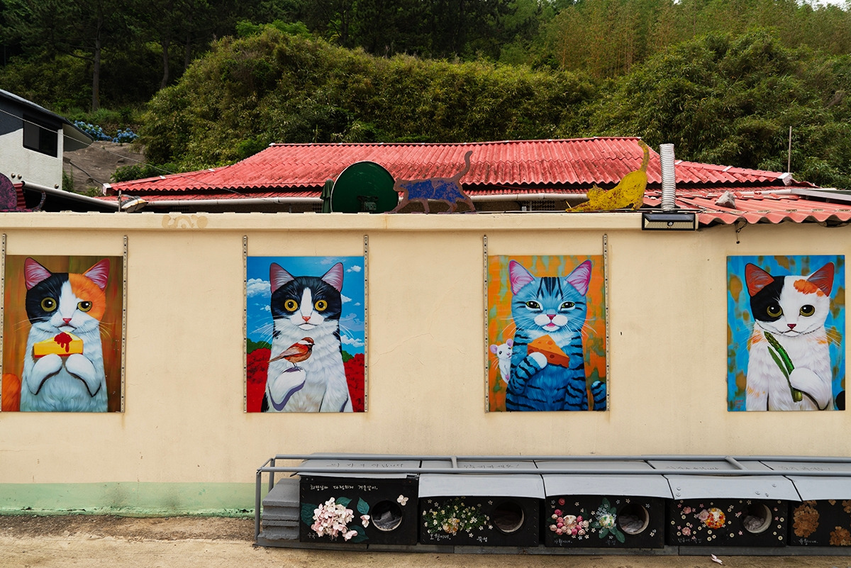 사람과 고양이가 공존하는 쑥섬.jpg