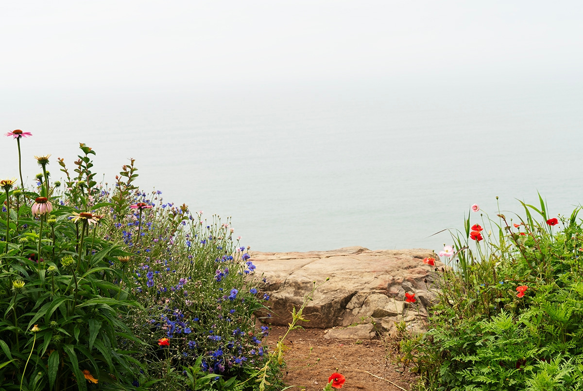 쑥섬 야생화 길 2jpg.jpg