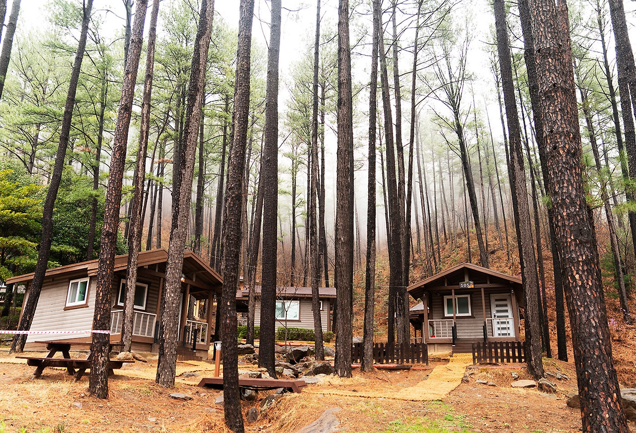 백운산 자연휴양림_숙소.jpg