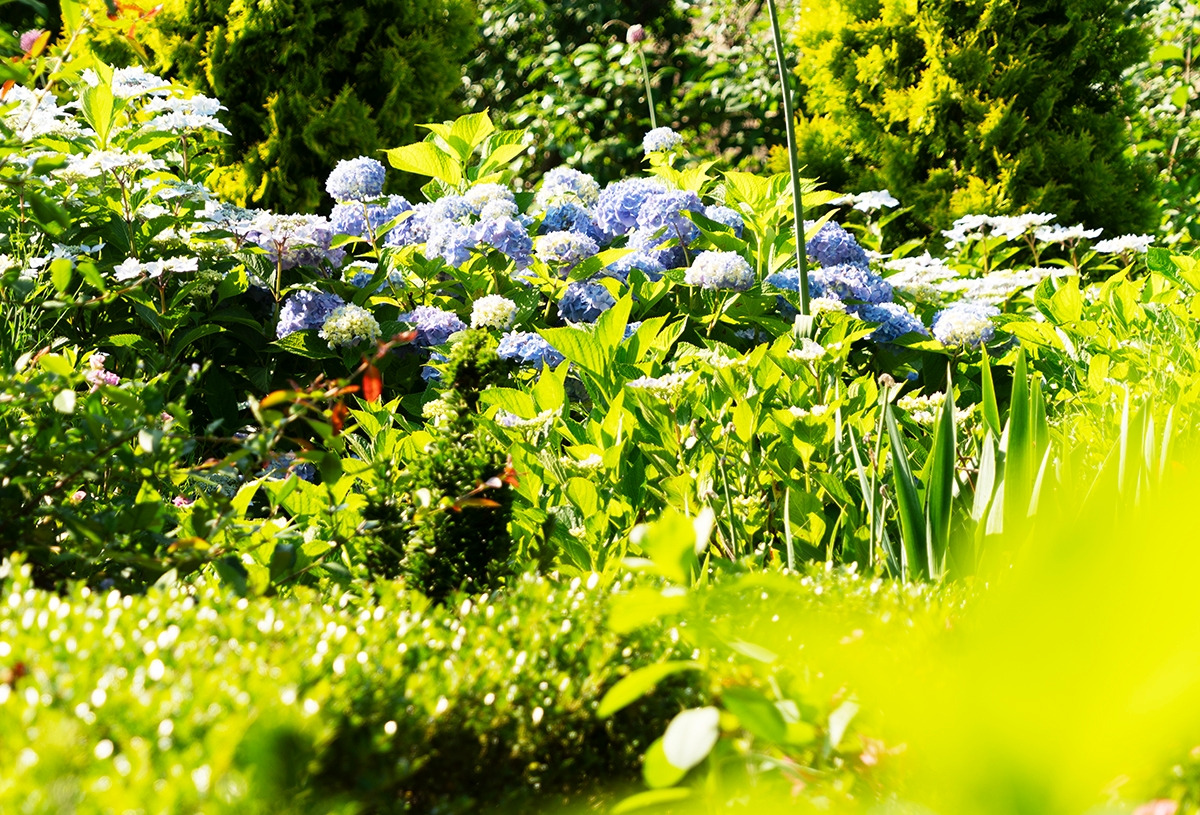 #5 남포미술관.jpg