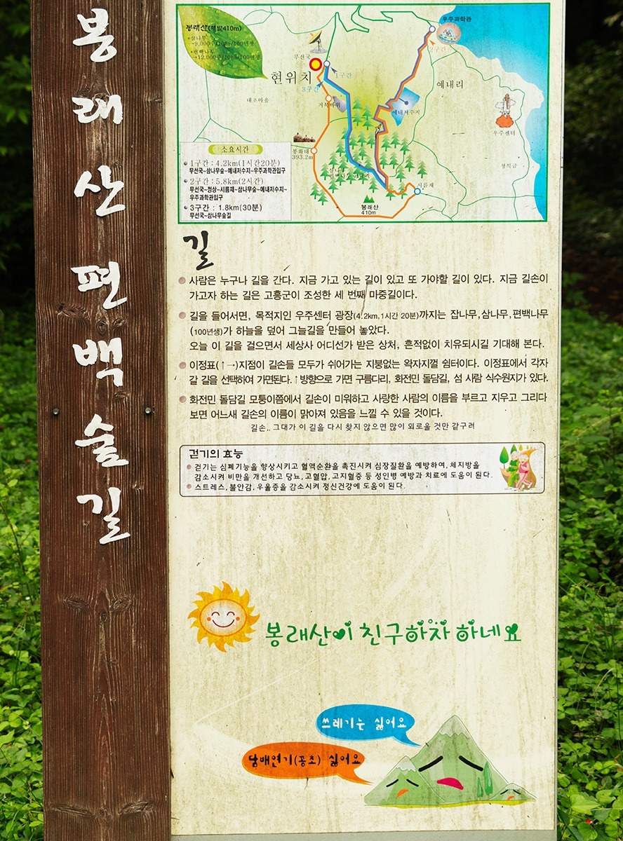 #10_나로도 편백숲.jpg