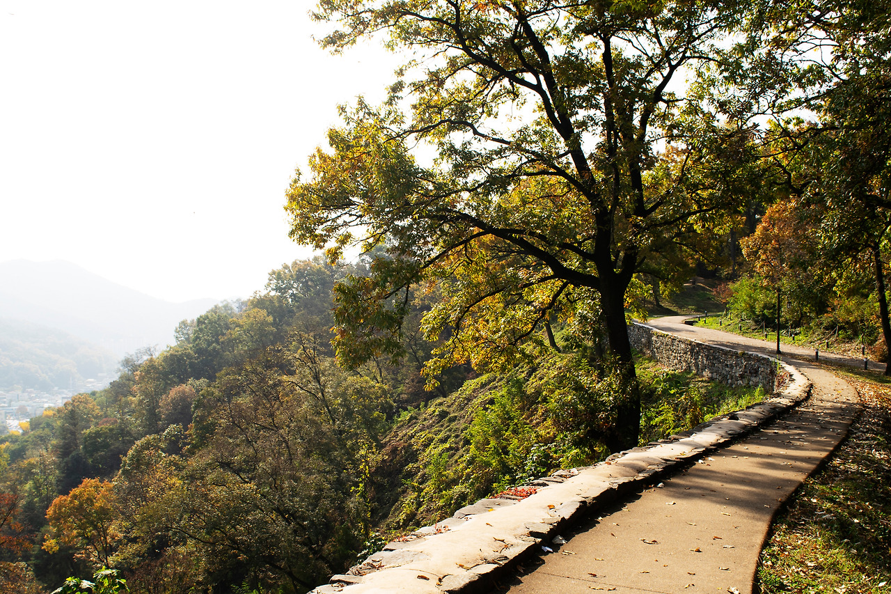 공산성 성곽길 2).jpg