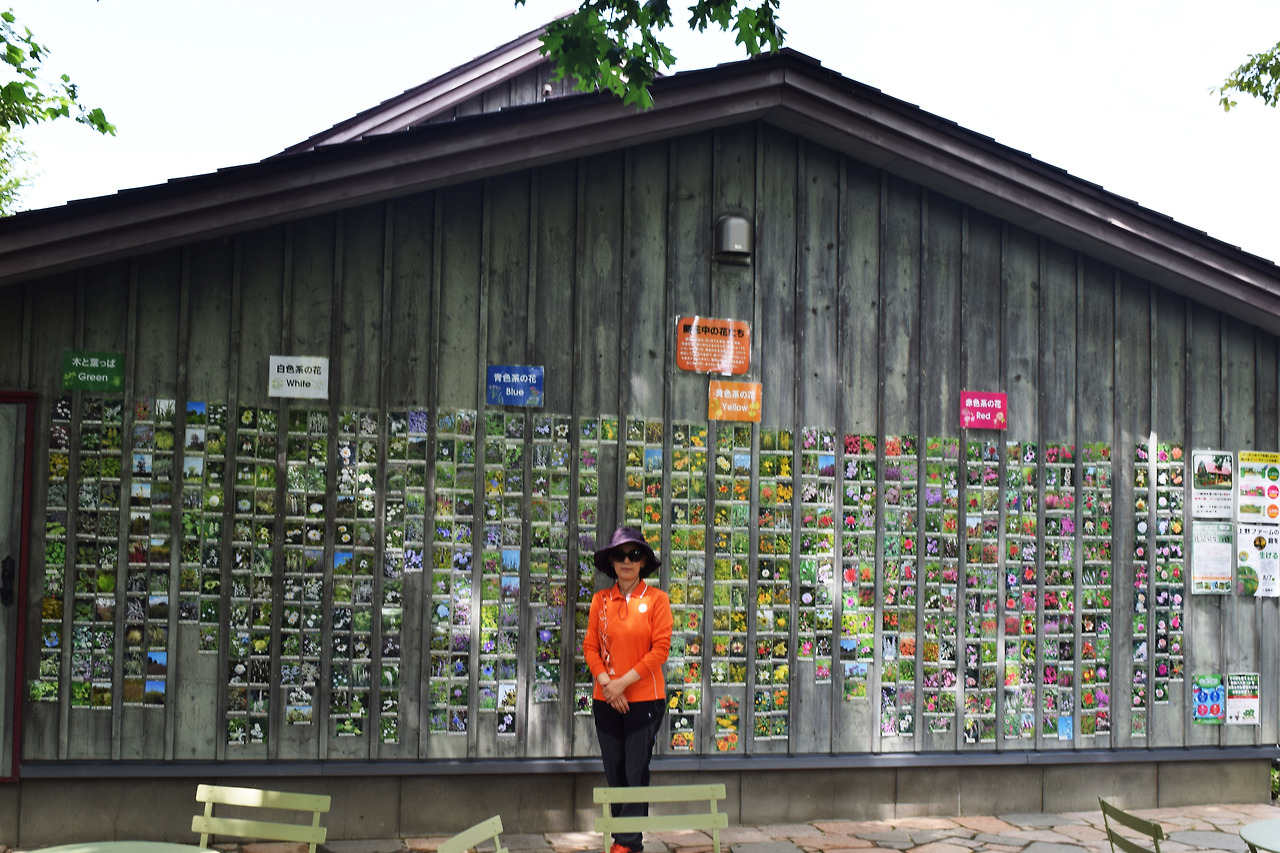 우에노- 꽃들.jpg