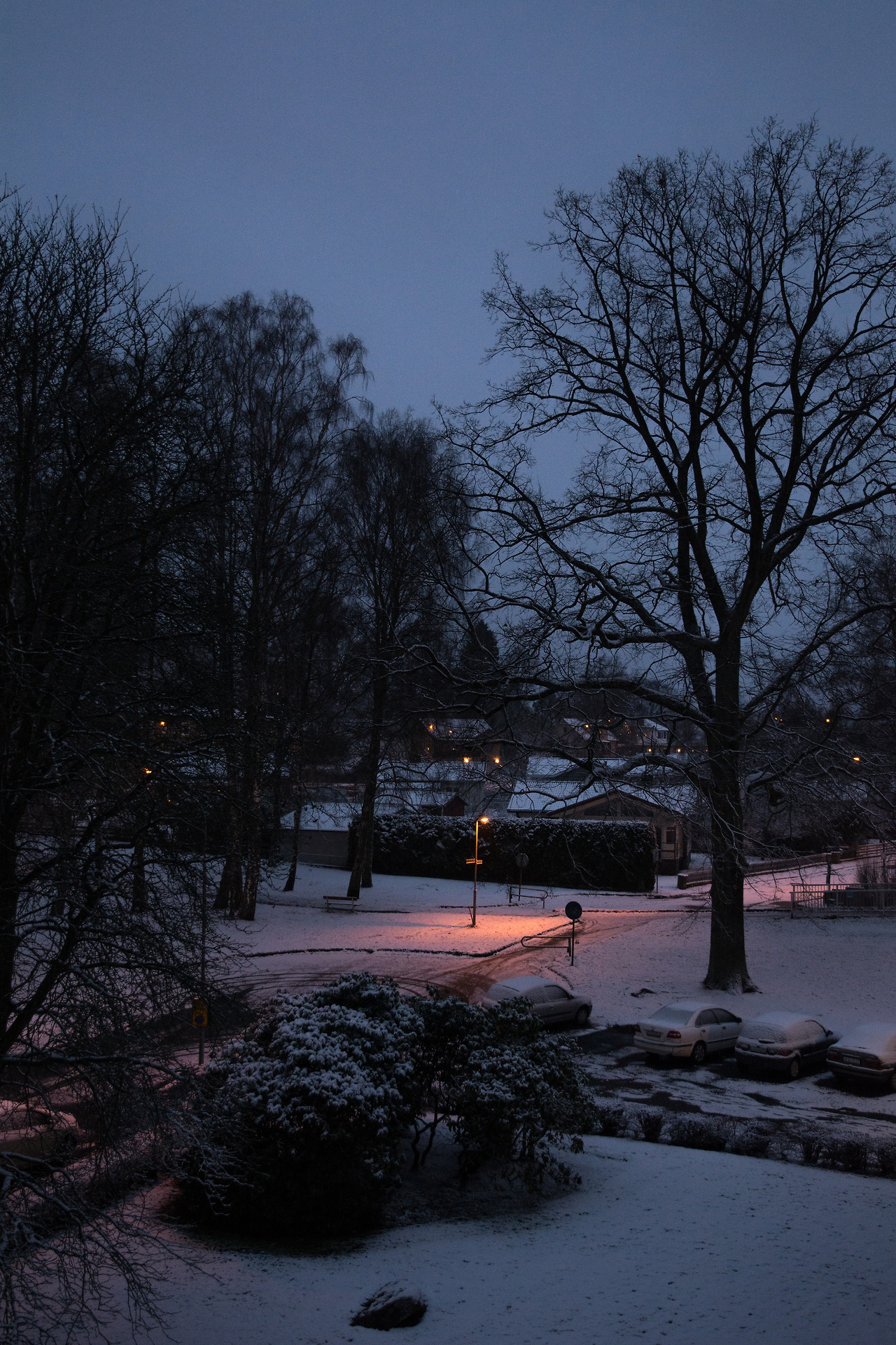 18년11-12월 (55).jpg