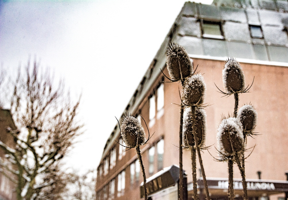 크기변환_Sweden_170107 (113).jpg