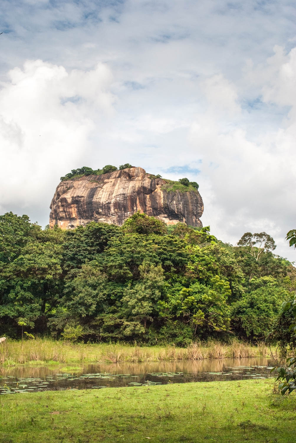 시기리아 (4).jpg