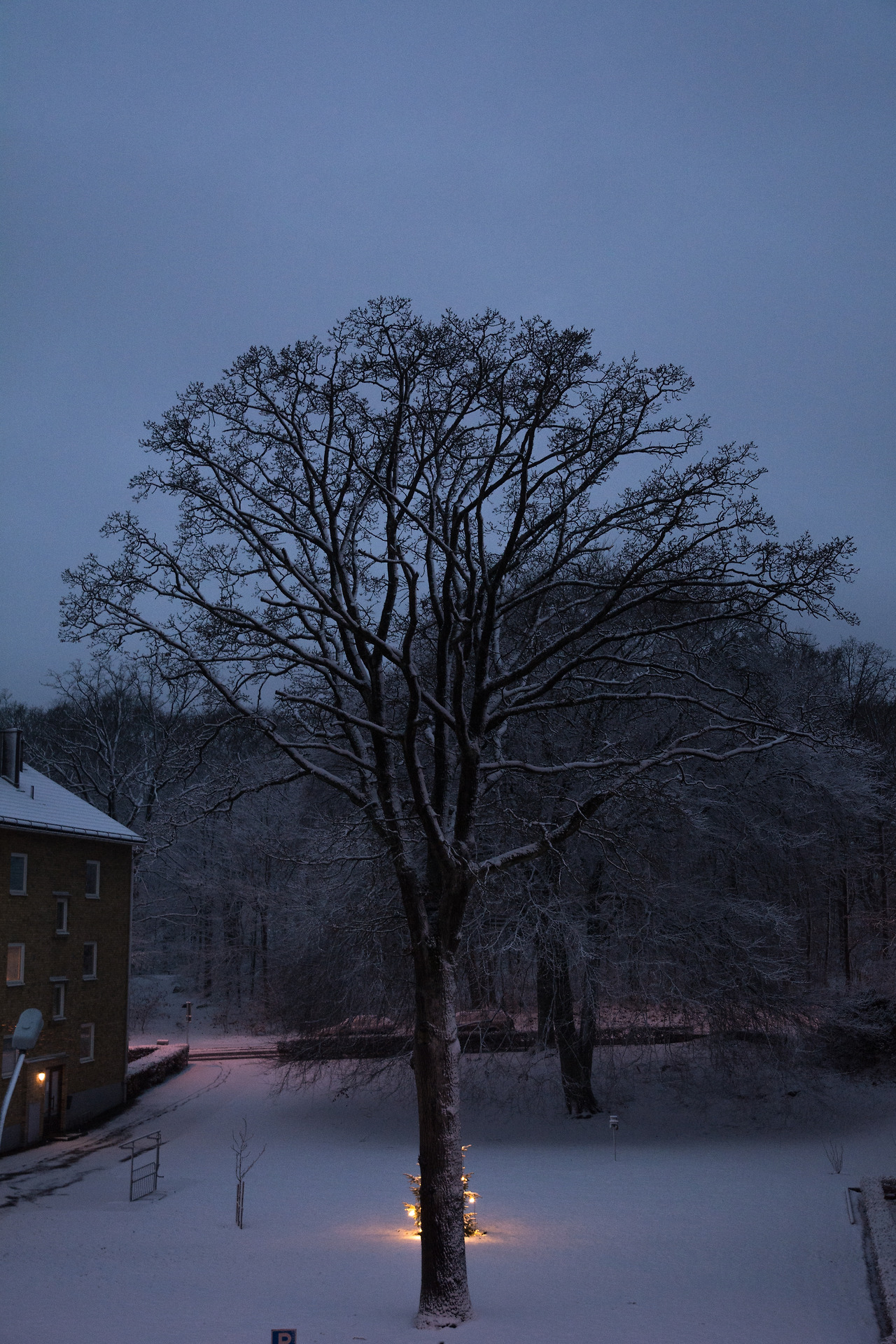 18년11-12월 (53).jpg