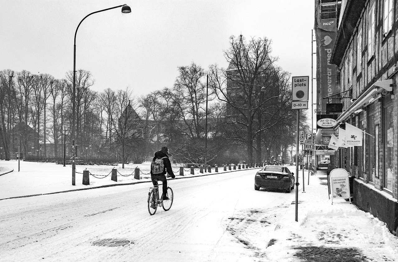 Sweden_170107 (96).jpg