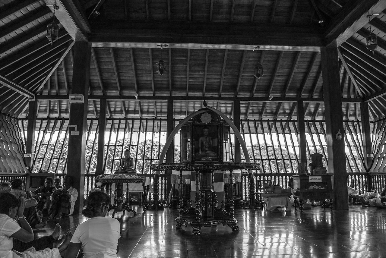 기타사진 (31).jpg