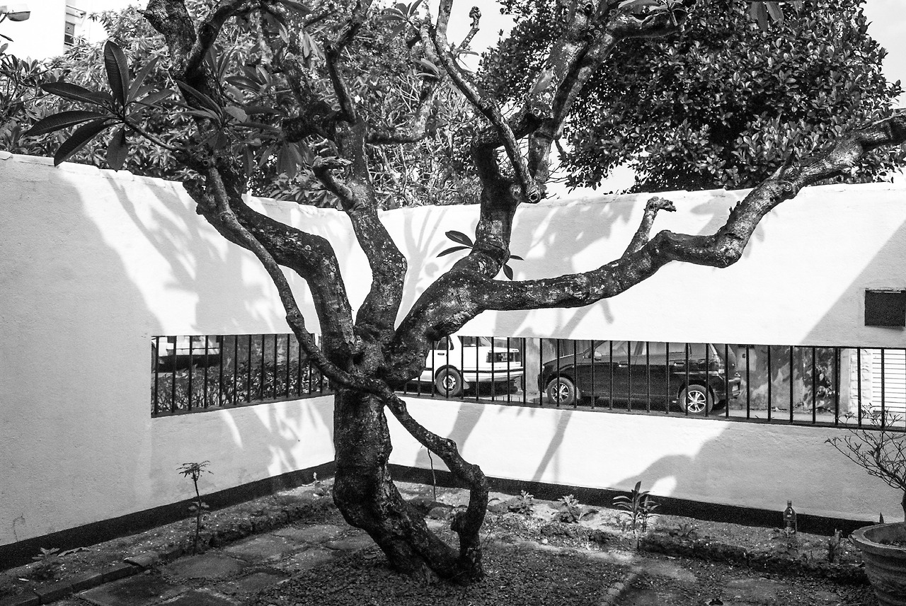 크기변환_2012.01 (46).jpg