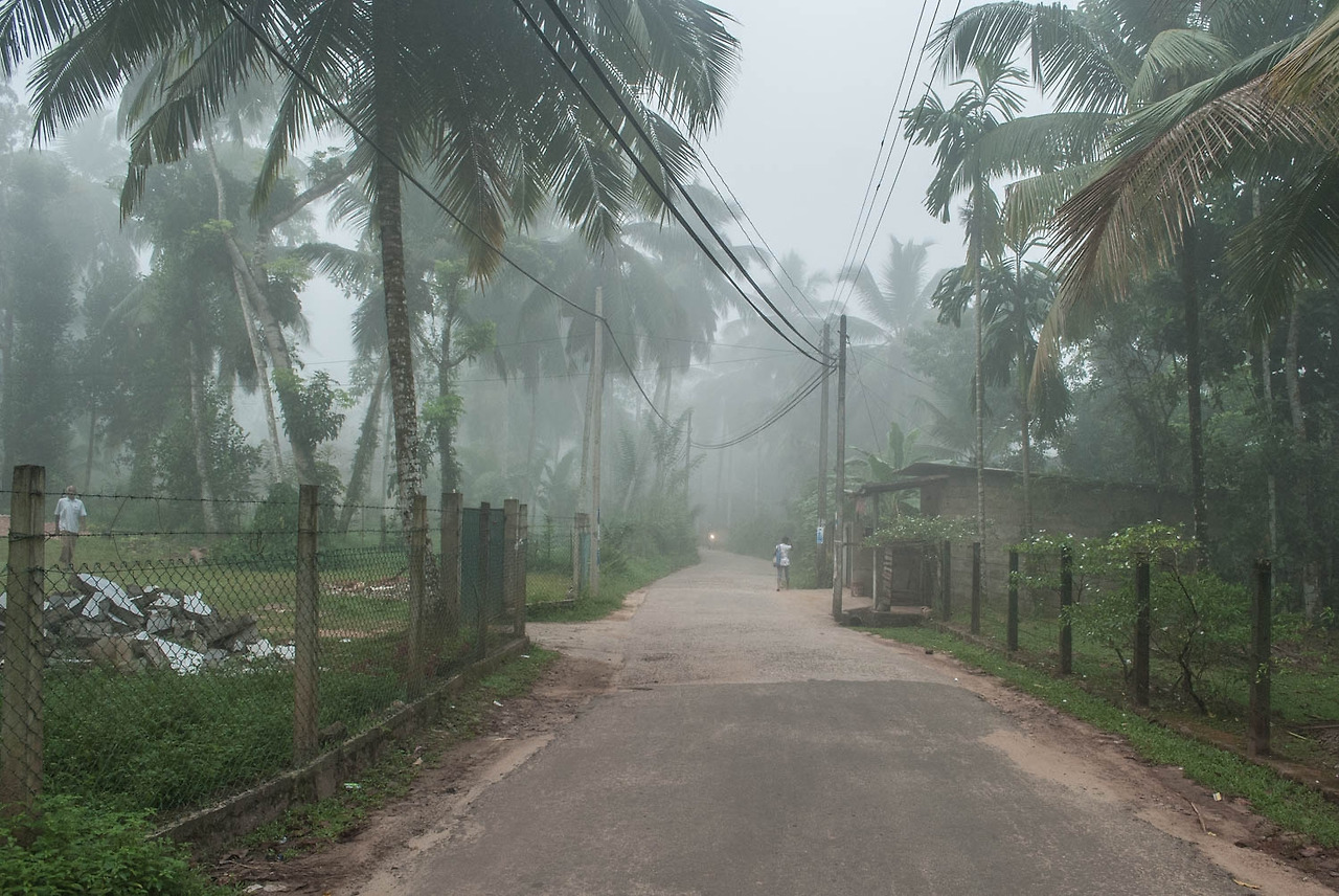 기타사진 (38).jpg