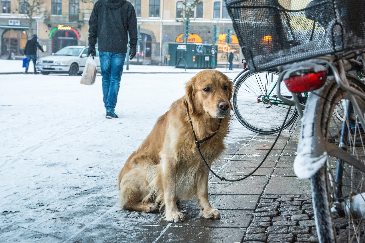 Sweden_170107 (64).jpg