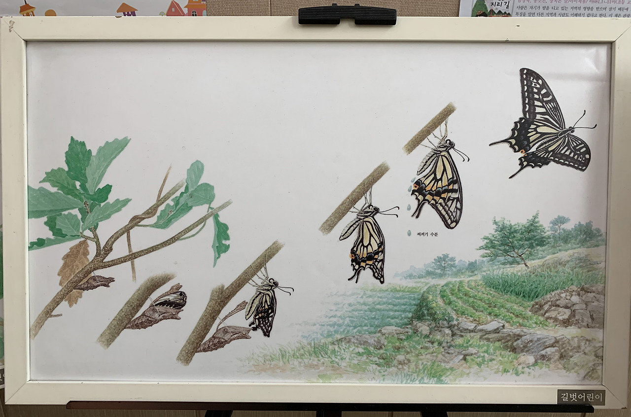 사본 -KakaoTalk_20190714_193245274.jpg