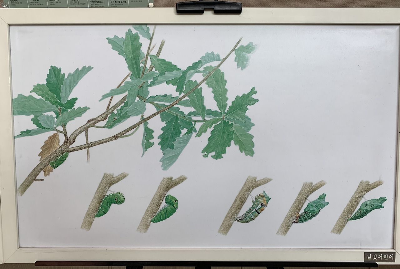 사본 -KakaoTalk_20190714_193244505.jpg