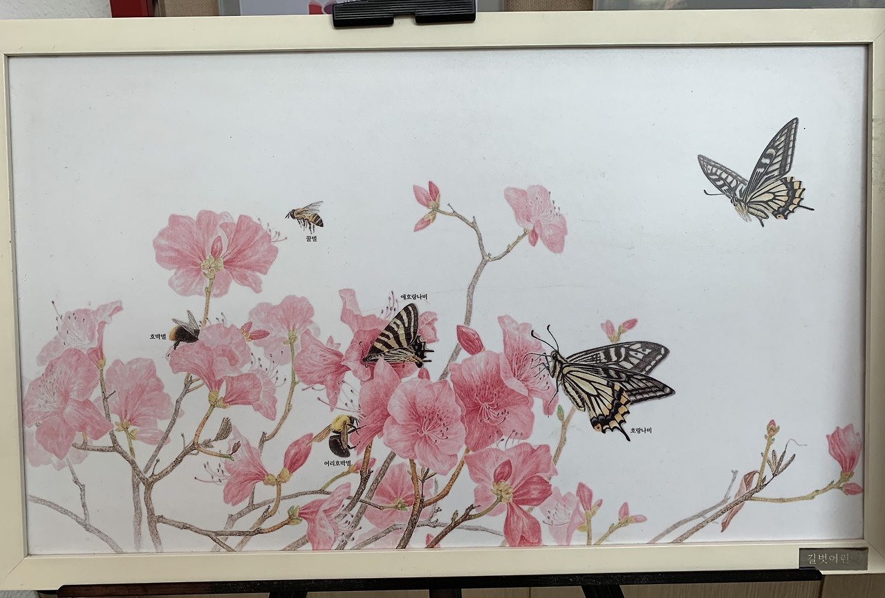 사본 -KakaoTalk_20190714_193243380.jpg