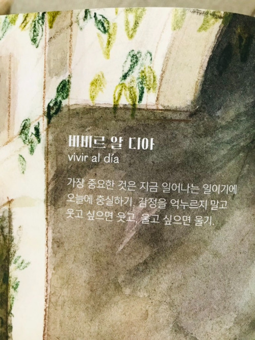 비비르  알 디아.jpg