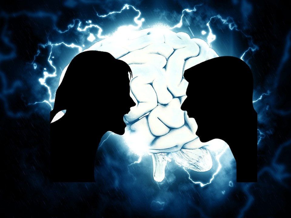 커플 갈등 뇌.jpg