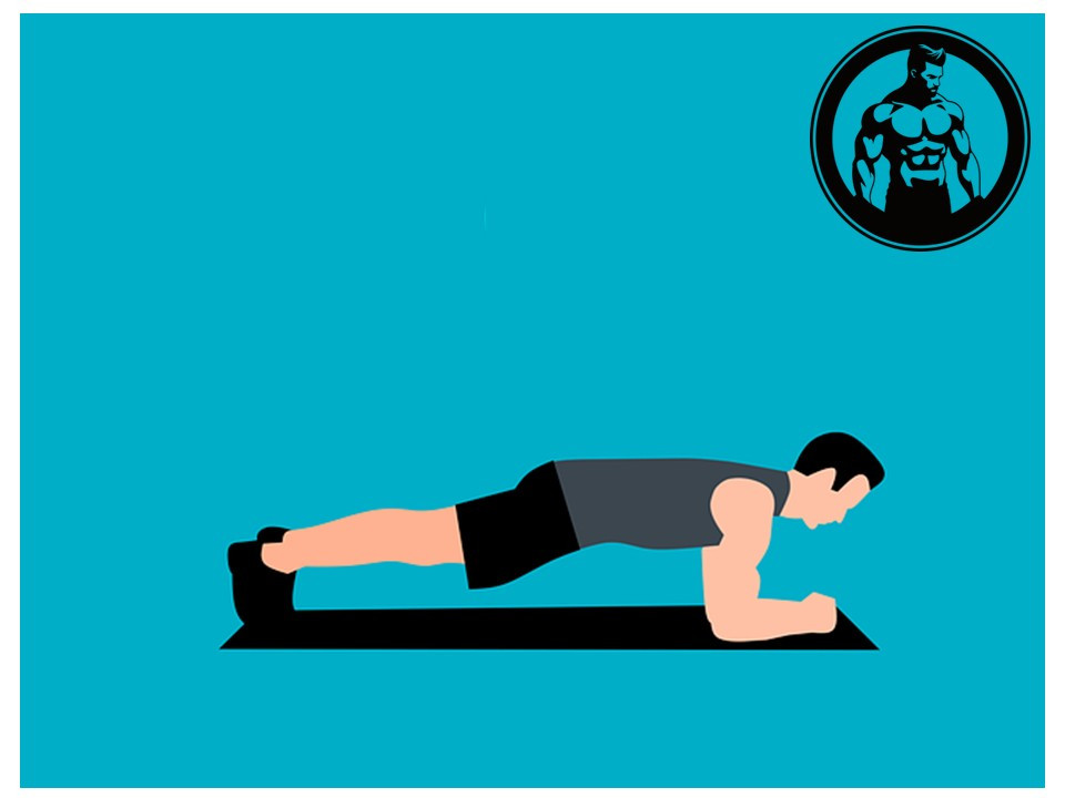 몸짱 식스팩 복근.jpg