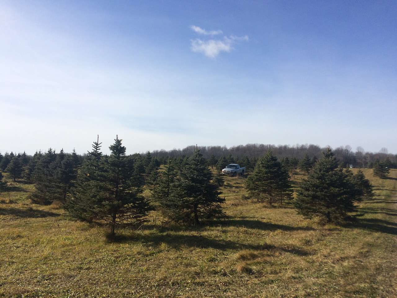 Photo Dec 04, 12 25 14 PM.jpg