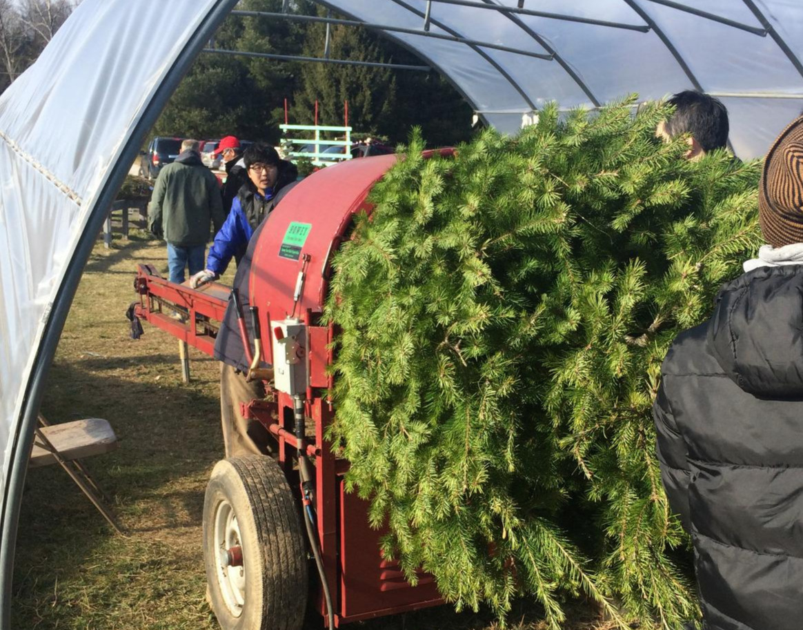 Photo Dec 04, 12 30 48 PM.jpg