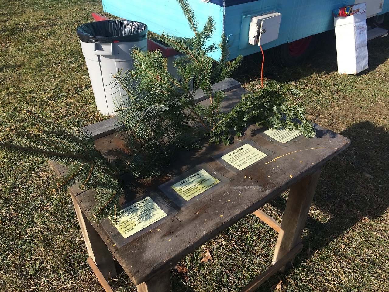 Photo Dec 04, 12 32 46 PM.jpg