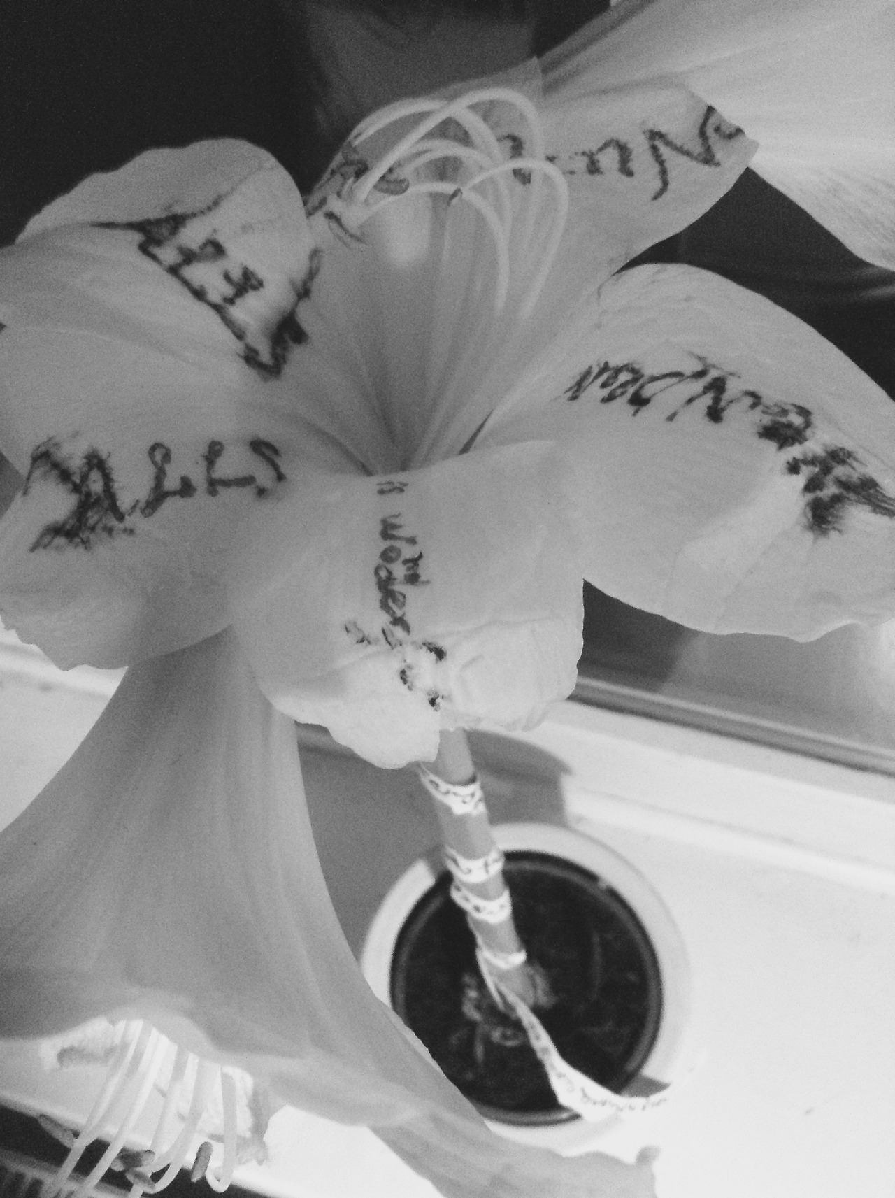 FullSizeRender_2 (3).jpg