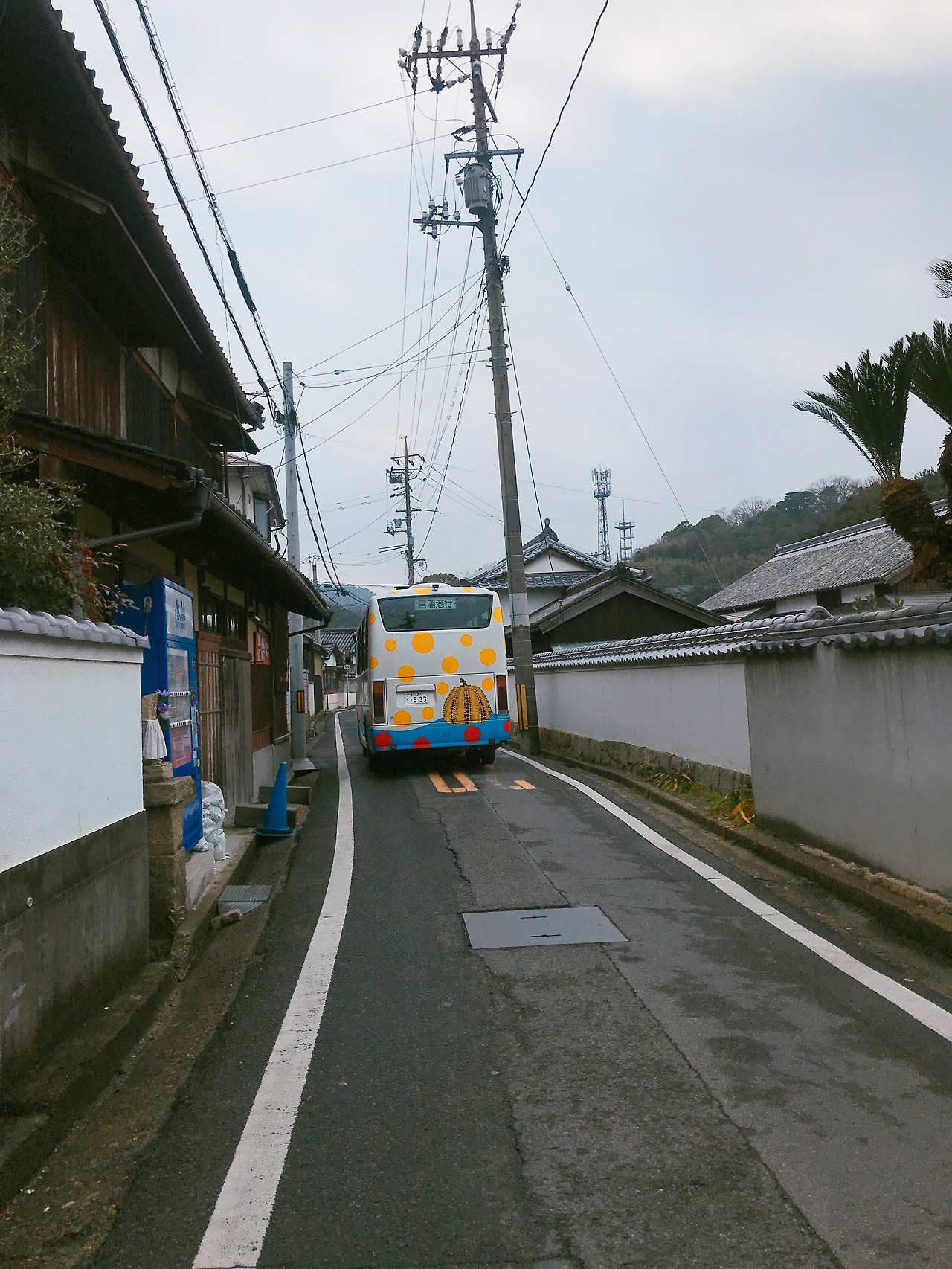 사진 2019. 2. 28. 오후 4 20 09.jpg