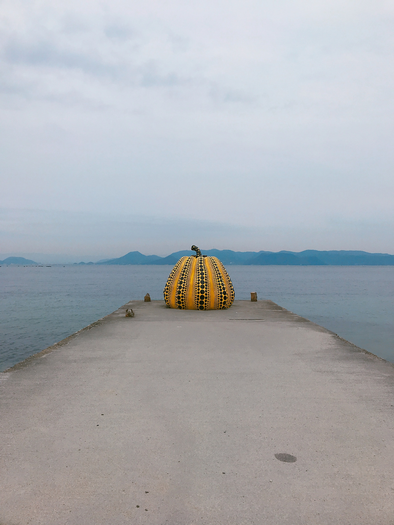 사진 2019. 2. 27. 오후 3 31 32.jpg