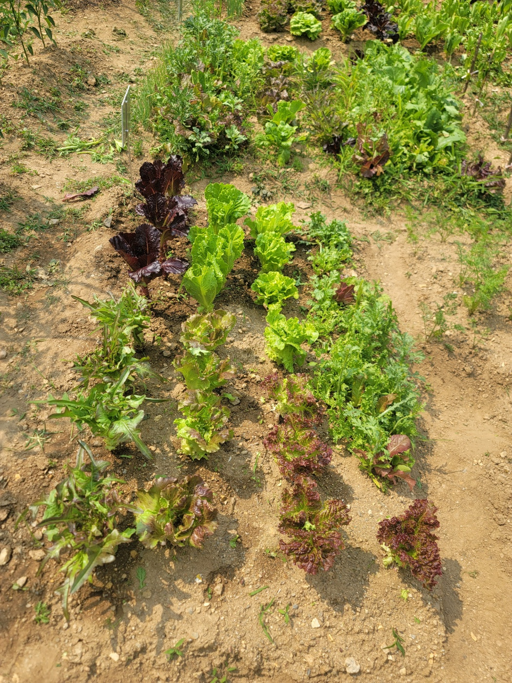 KakaoTalk_20240609_161956195_05 - 복사본.jpg