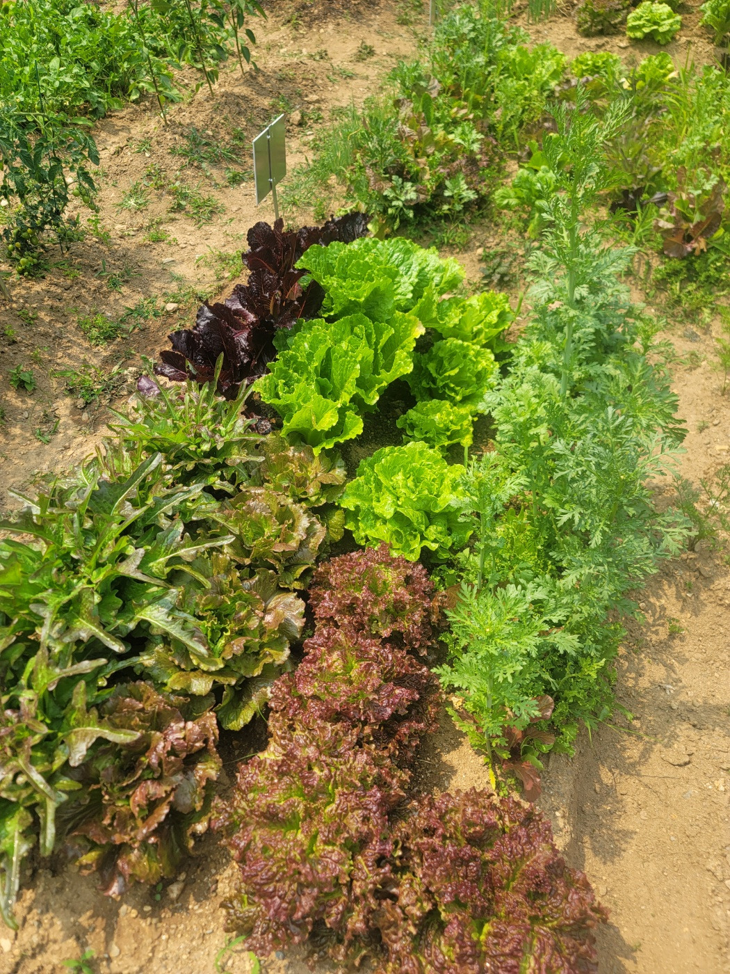 KakaoTalk_20240609_161956195_02 - 복사본.jpg