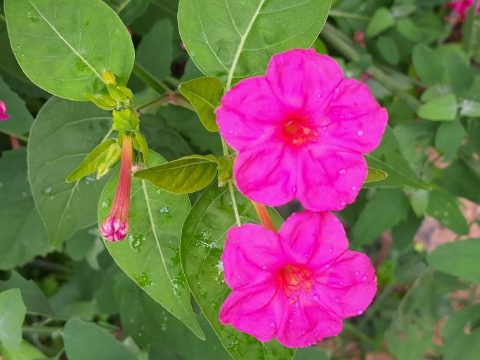 다운로드 (2).jpg