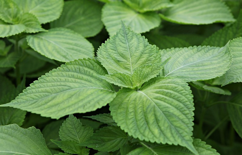 다운로드 (6).jpg