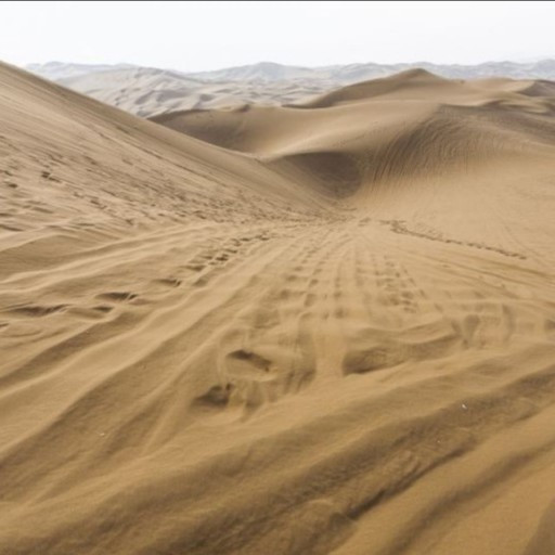 다운로드 (18).jpg