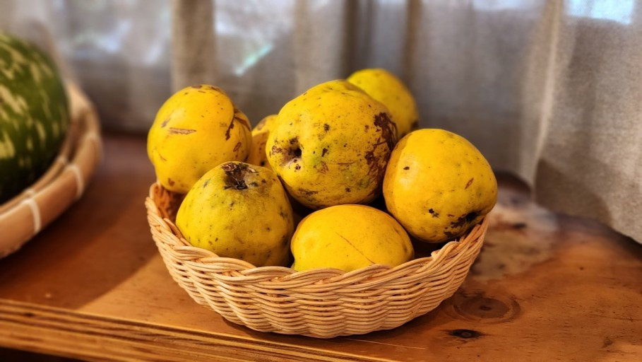 다운로드 (3).jpg