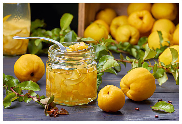 다운로드 (2).jpg