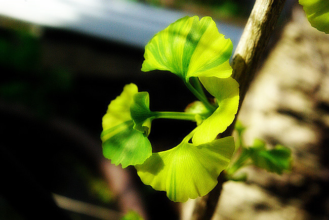 다운로드 (2).jpg