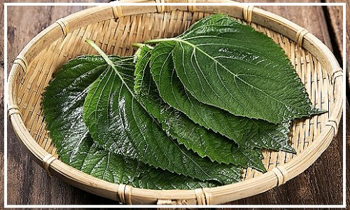 다운로드 (3).jpg