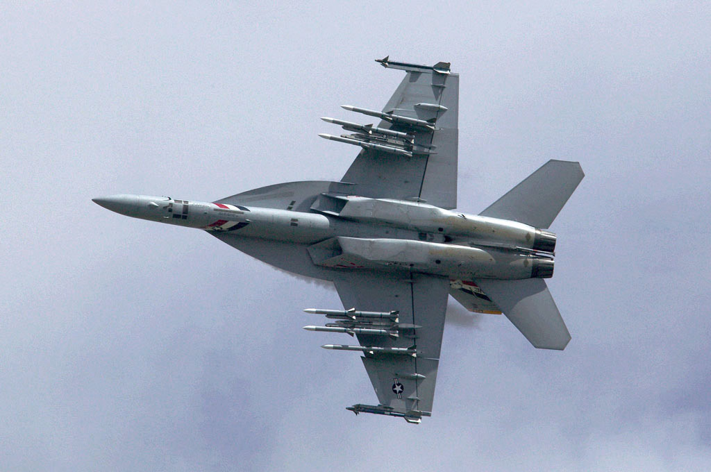 11.fa_18_ef_super_hornet_l2.jpg