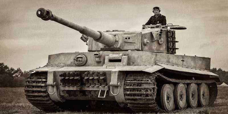 3_tiger1.jpg