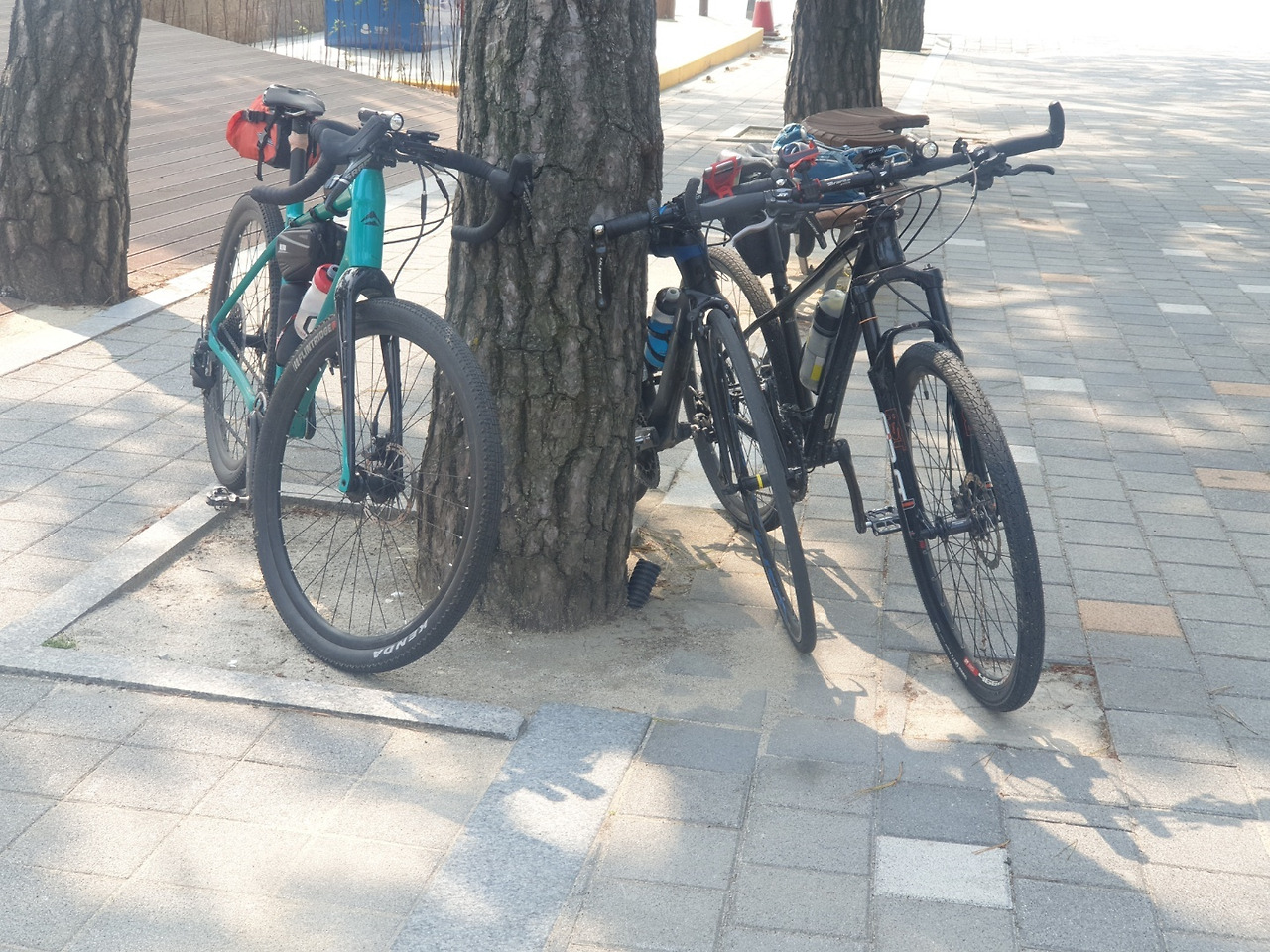 자전거들.jpg