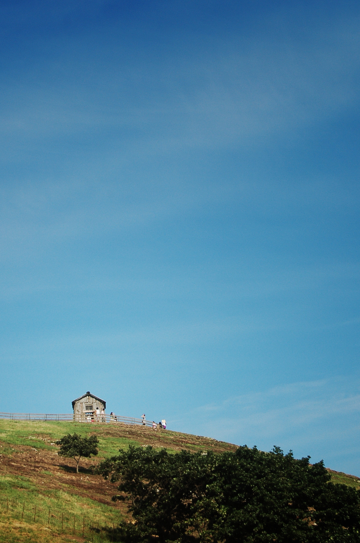 DSC_5824 사본.jpg