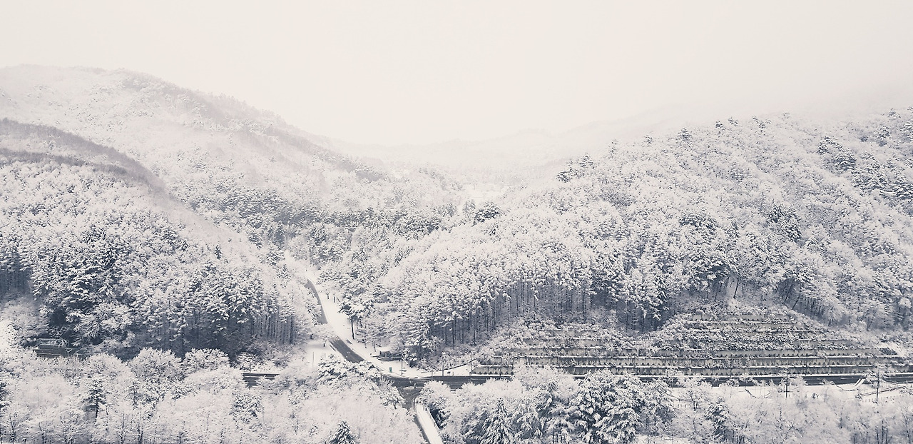 평창눈.jpg