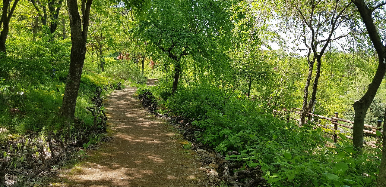 산책길.jpg
