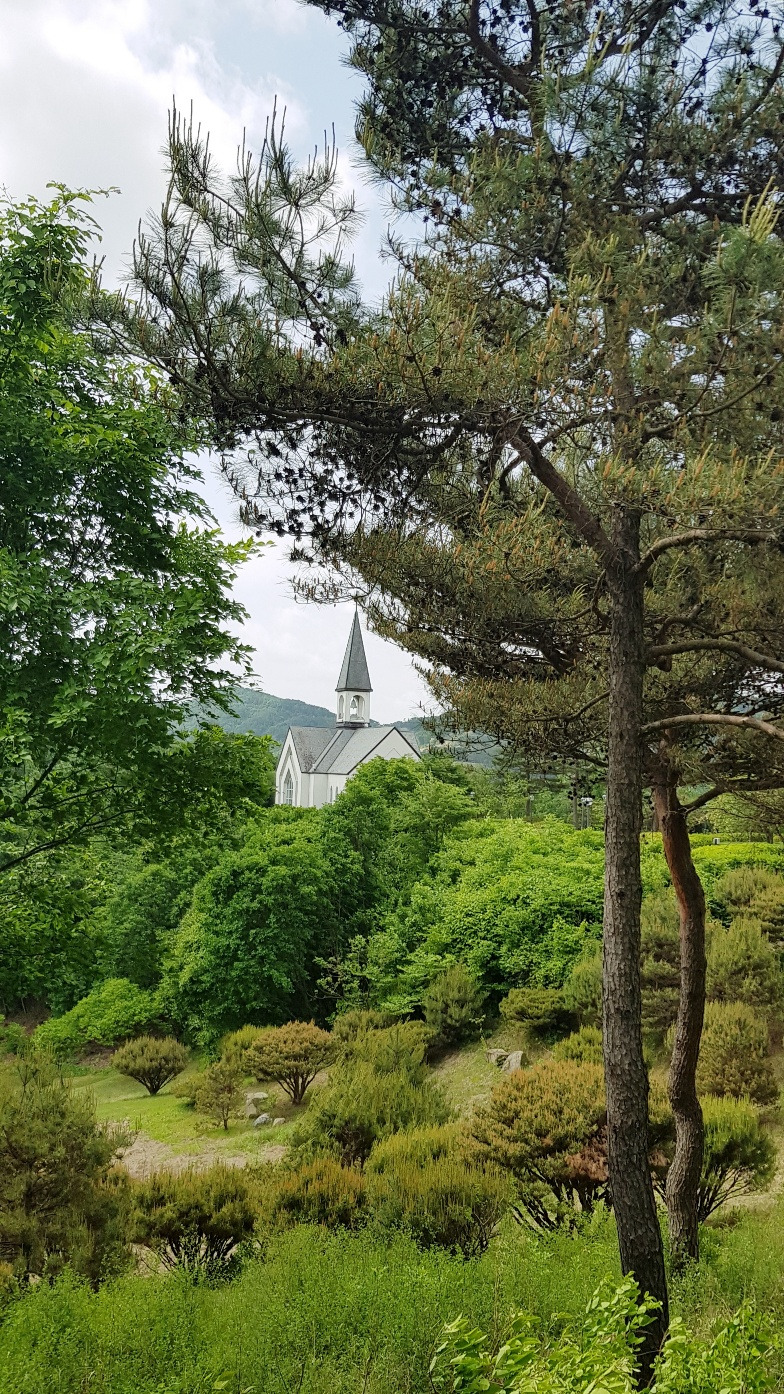 원주 오크밸리.jpg