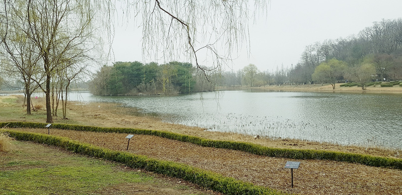 일산호수공원.jpg