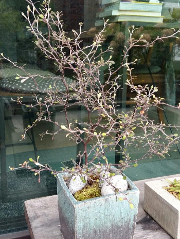 2016-10-01 08.56.33.jpg