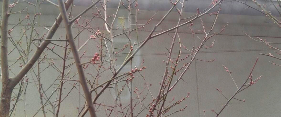 2017-01-10 19.59.53.jpg